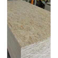 Cheap OSB 3 board 8mm 9mm 12mm 18mm